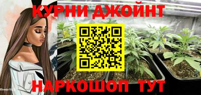 молекула духа Боровичи