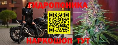 молекула духа Боровичи