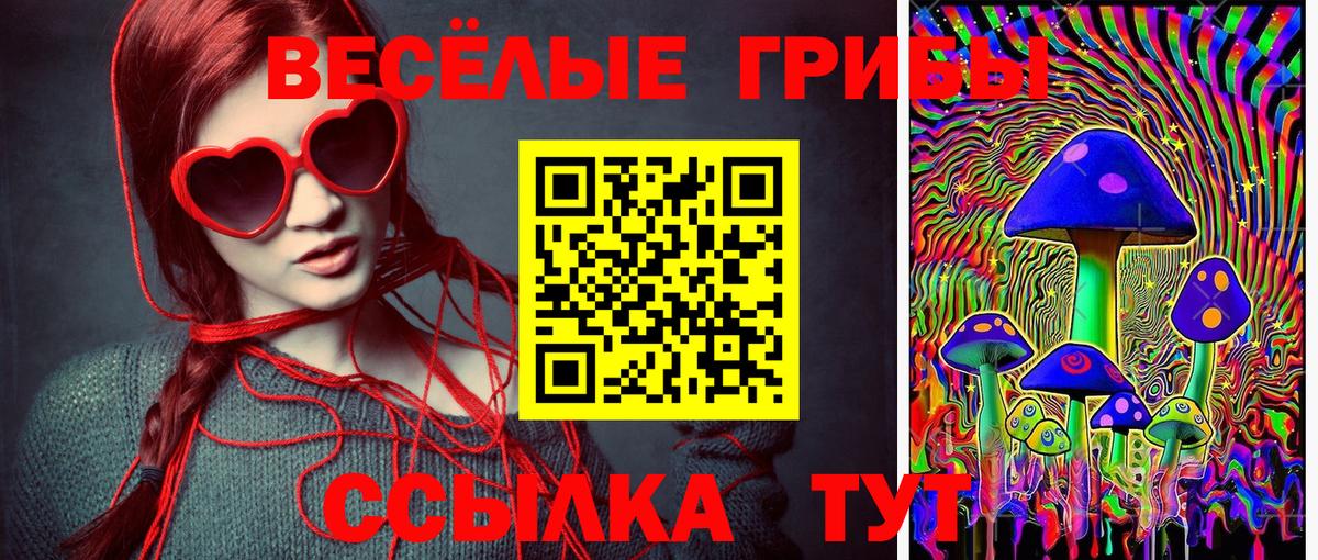 Алейск  наркошоп  Псилоцибиновые грибы мицелий  Вход с VPN  Псилоцибиновые грибы прущие грибы 
